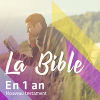 La Bible en 1 an – Nouveau Testament